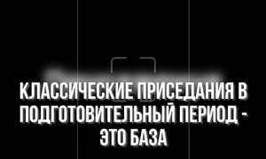 Секрет скорости не в размере мышц