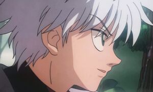 Hunter x Hunter (1999) - 08 [DVD 1080p x264 AAC AC3]