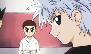 Hunter x Hunter (1999) - 43 [DVD 1080p x264 AAC AC3]
