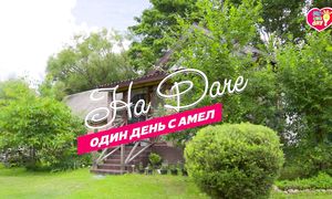 «Один день с Амелией - На даче!»
