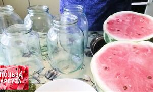 Рецепт  на маринованный  и квашенный  арбузы