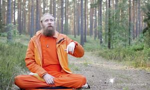 Слои разума. 5 этажей нашей психики. Как обрести глубинное удовлетворение