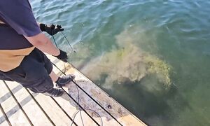 Во, ДАЁТ!!! У моста выдернул ЛЮТУЮ находуку и я приехал покидать магнит.