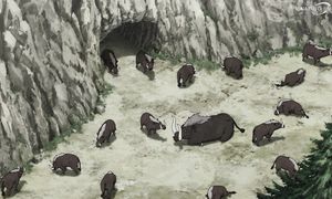 From Old Country Bumpkin to Master Swordsman S2 - 05 [DUB]