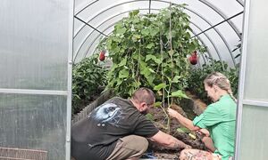 Сбежали от СУМАСШЕДШЕГО мира в деревню. Как для счастья мало нужно...