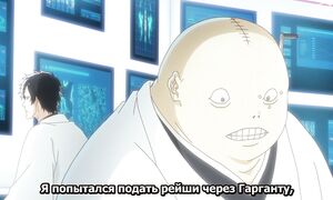 Bleach - 412 [SUB]