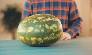 GopherVid: СКОЛЬКО ВОДЫ В АРБУЗЕ