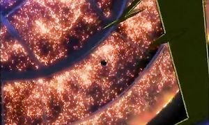 Interstella 5555