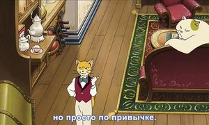 Возвращение кота