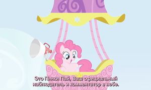 MLP 1x13