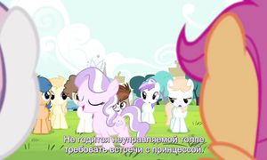 MLP 4x15