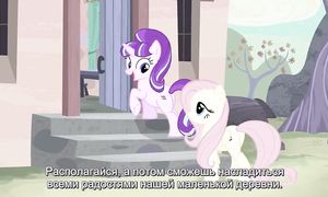MLP 5x02