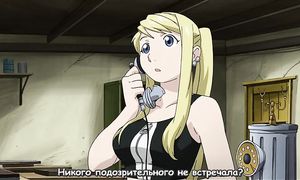 Fullmetal Alchemist 2x29
