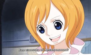 One Piece 752