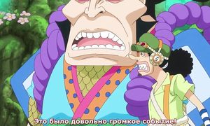 One Piece 773
