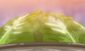 One Piece 784