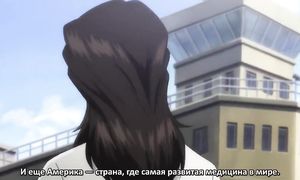 Rainbow 1x24