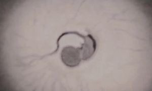 Ergo Proxy 1x22