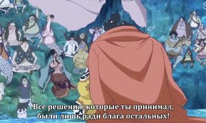 One Piece 790