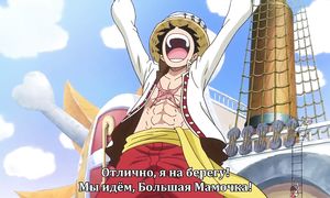 One Piece 791