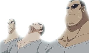 One Piece 794