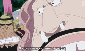 One Piece 797