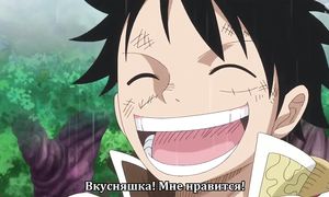 One Piece 805
