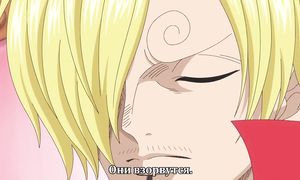 One Piece 810
