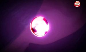 Miraculous LadyBug 2x05
