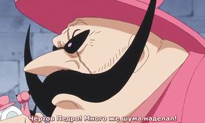 One Piece 814