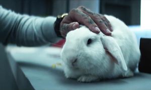 Тимати — Падаем вместе (клип, 2021)