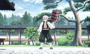 DEMON SLAYER 22