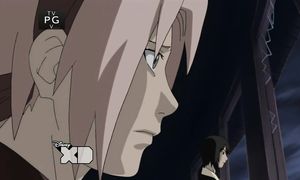 Naruto_ShippudenE065