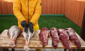 vanzai: ПРИГОТОВИЛИ СТРАУСА / ГИГАНТСКОЕ ВЕДРО KFC  ВЕСОМ 44 КГ.