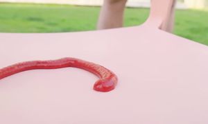 ВЫБЕРИ ПРАВИЛЬНЫЙ СТУЛ - Челлендж !