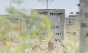 Коронавирус и другие смертельные заболевания, которые люди подхватили от животных