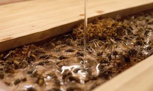 ✅ СТОЛ ИЗ ЭПОКСИДНОЙ СМОЛЫ И ШЕРШНЕЙ СВОИМИ РУКАМИ | СТОЛ ИЗ ДУБОВОГО СЛЭБА НА КУХНЮ | ВЕСЬ ПРОЦЕСС