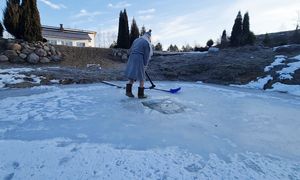 ДОБРА  ВАМ ДРУЗЬЯ