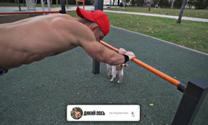 Прокачка ТРИЦЕПСА с Собственным весом (4 Упражнения)