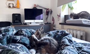 Ухожу. Надоело