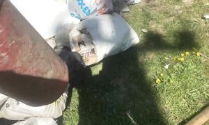 Деньги с дачных памоечек. Витёк мусорщик