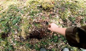 ОГО!!! Я не сразу понял, что это такое! Но оказывается румыны здесь побывали и наследили...