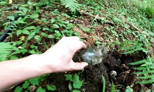 ААААА ... ЕСТЬ!!! Уже почти отчаялся и тут такая находка в конце копа!