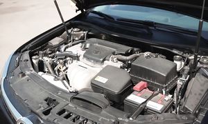 Камридің плюс-минусы //QAZ Kolesa.kz