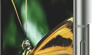 Новые Pixel 8 и 8 Pro лучше iPhone 15 и 15 Pro? Вся презентация устройств Google Pixel!