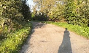 КУДА ПРОПАЛ ЖЕНЯ? ВЫ РАЗОШЛИСЬ?" ПОКУПКИ и НАХОДКИ с ALIEXPRESS | БЮДЖЕТНАЯ МЕБЕЛЬ И КОСМЕТИКА