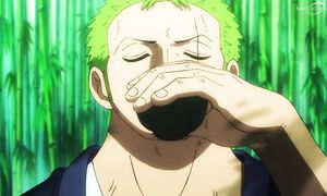 One Piece - 1084 [SUB]