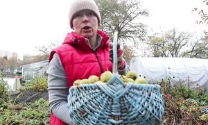 Я вернулась! Влог за неделю / Посадка и уборка / Чеснок, лук, тюльпаны