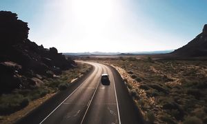 Моменты, Когда Дикие Животные Появились из Ниоткуда