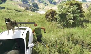 Джонни балшықтан Мерседес Банан ТАУЫП АЛДЫ (GTA V) жони джони